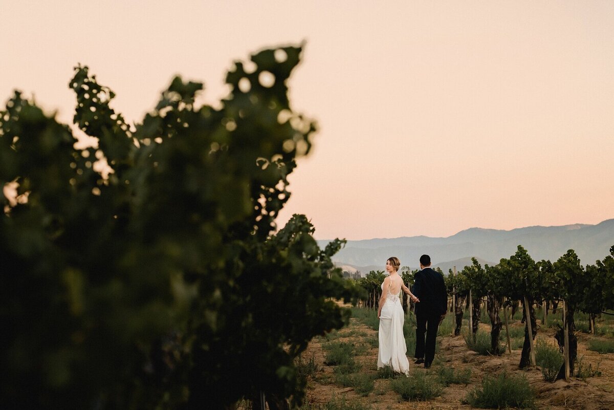 Napa Wedding Photographer