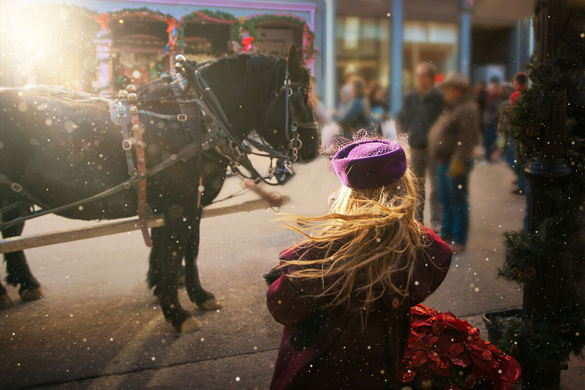 horse-mustang-carriage-historic-georgetown-mountain-vintage-victorian-girl-magical-creative