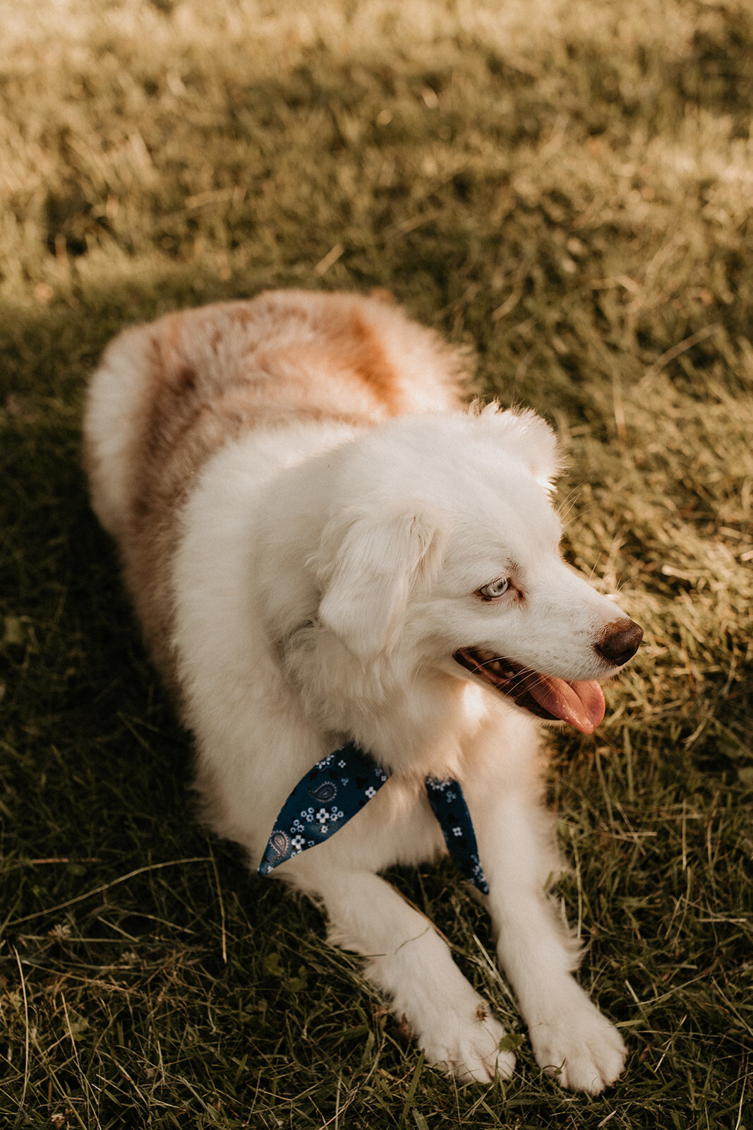 Emma_Phil_Engagement_Session_6.10.21-222
