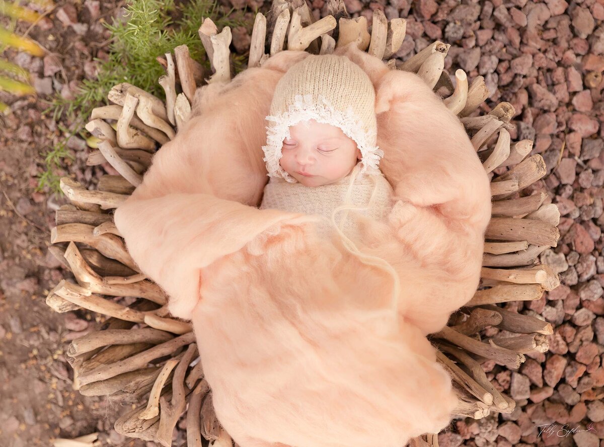 Tally Safdie Photography newborn photography baby woodland fairy