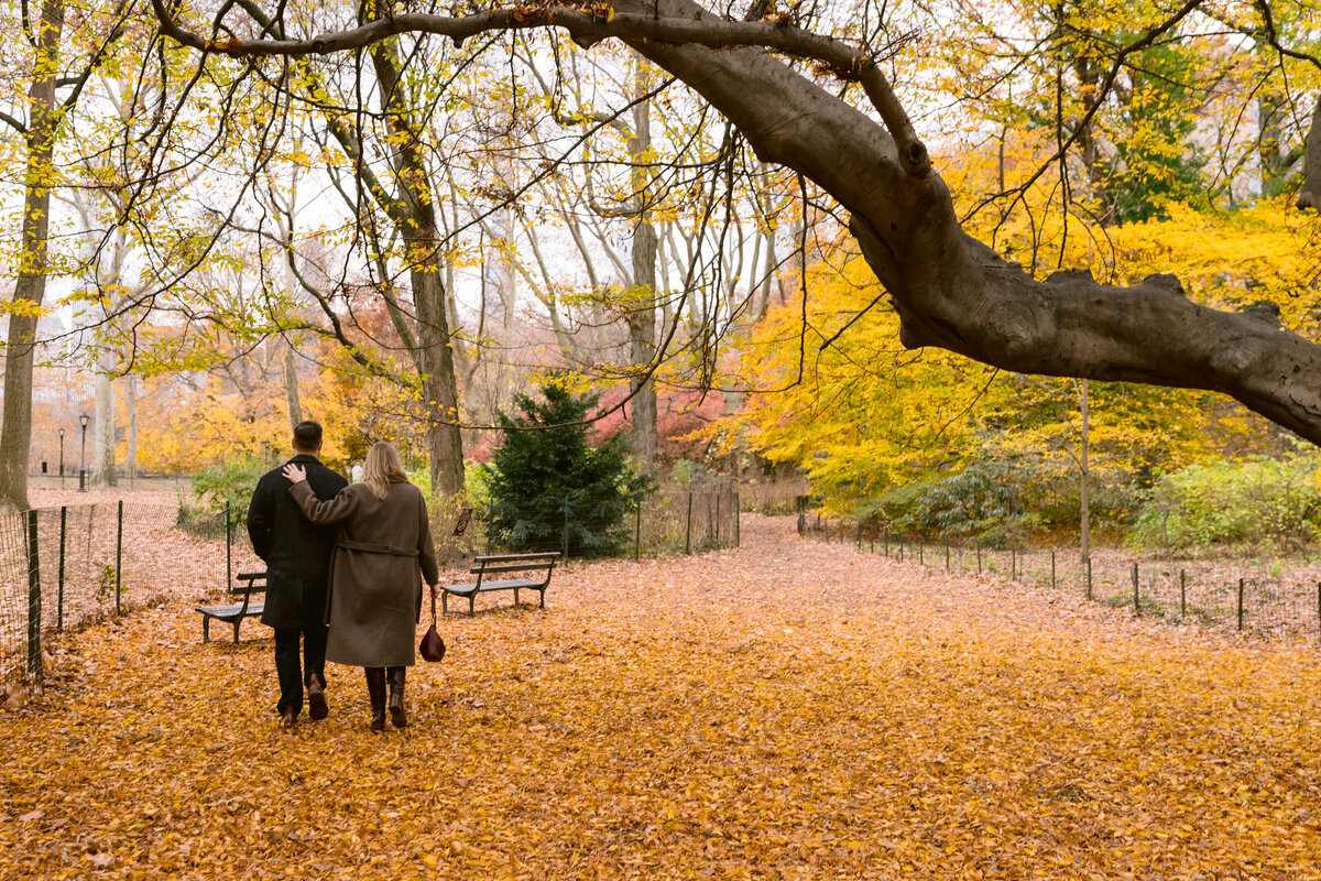 Central Park Engagement Photographer34