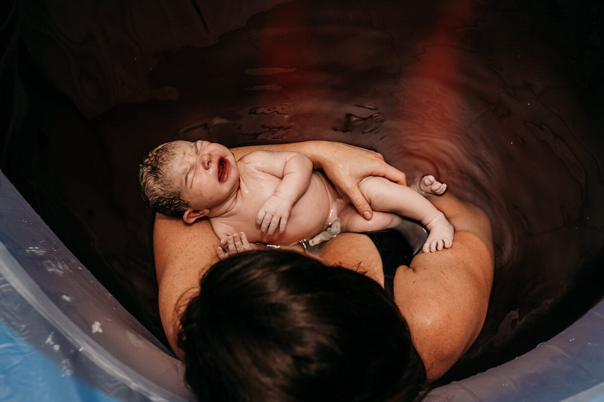 Blood Bath_2023_Nbertrand