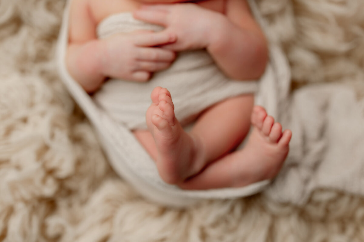 NW Arkansas newborn portrait studio, get newborn photos taken near me, NWA baby photographer
