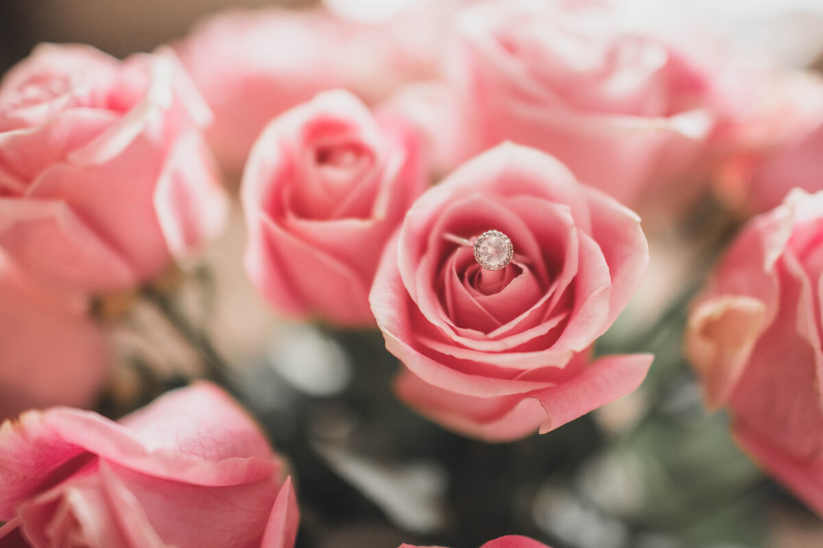 ring in rose shot for wedding details photography