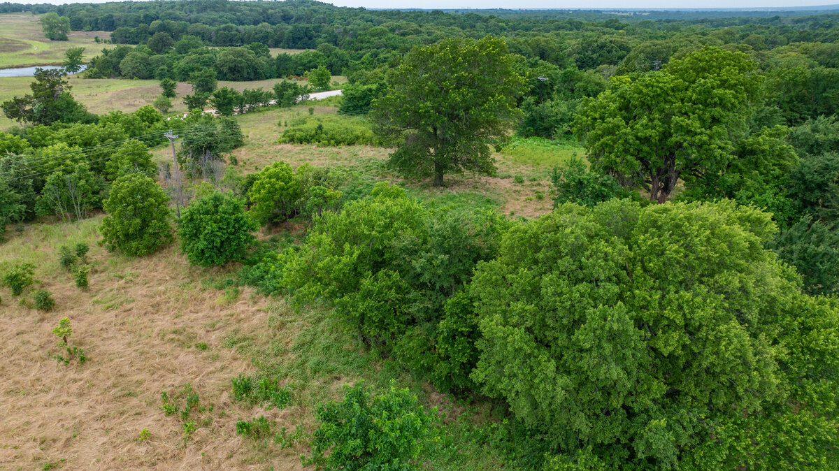 33.6 acres of treed land near Rock Creek Expansion for sale