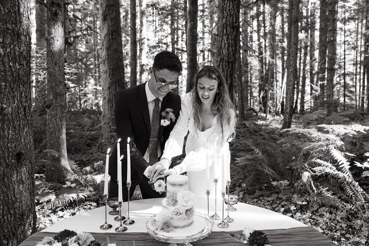 MtRainierSmallWedding-DallinHazard-523