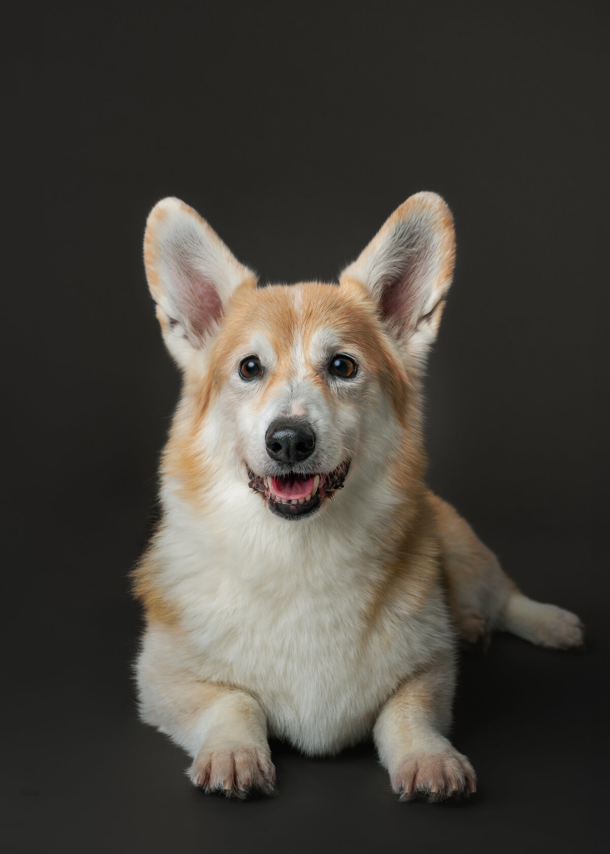 Gus-1