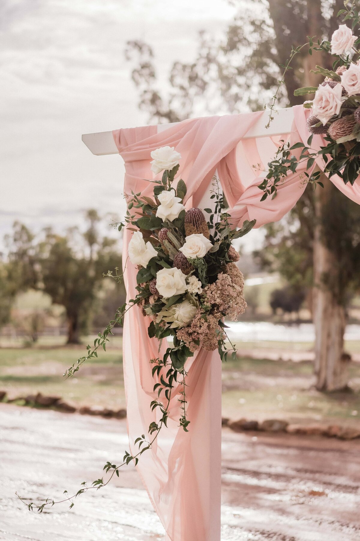 294_Lisa Watson Photography_LW203374