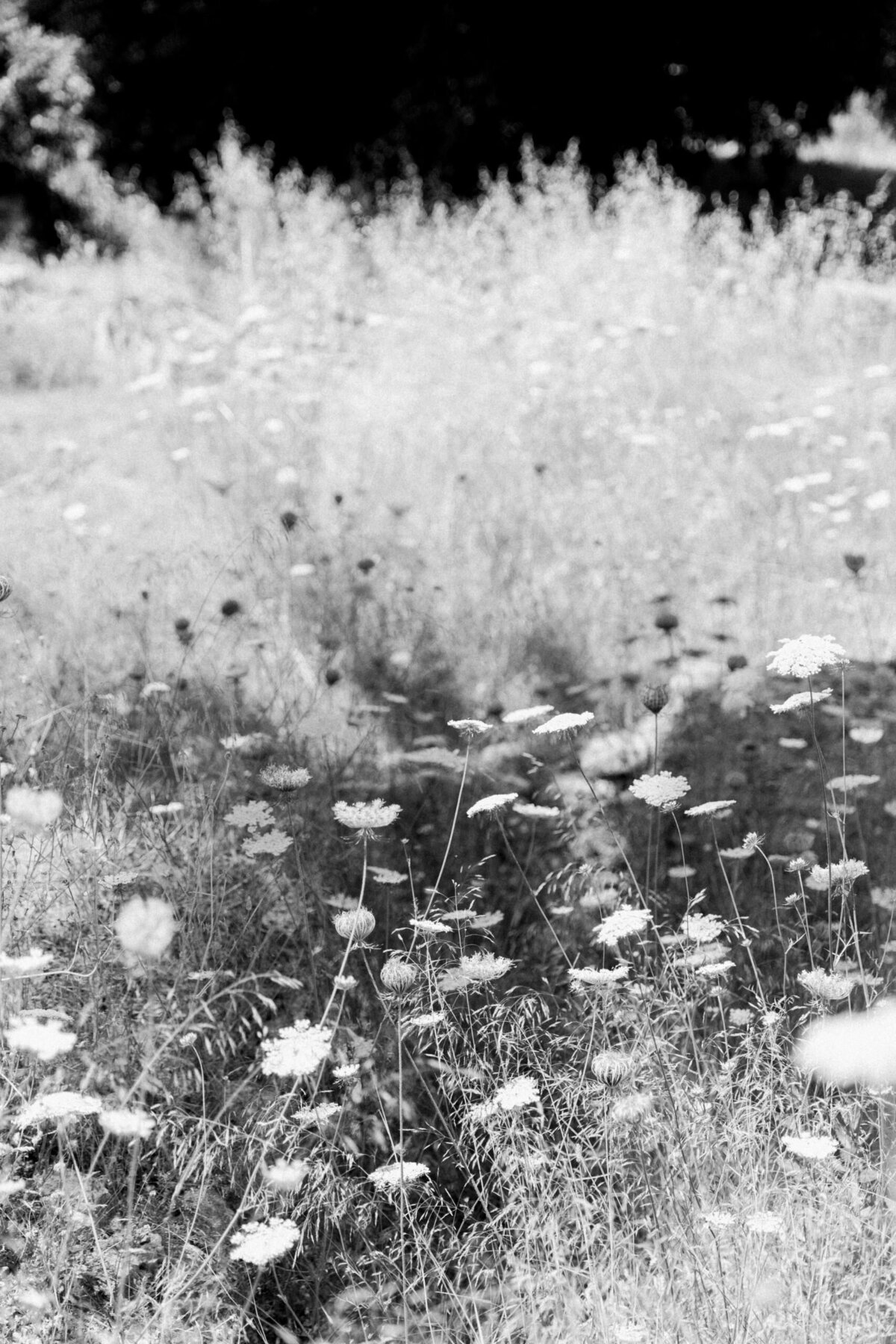socialsquares_1022_06320-scaled