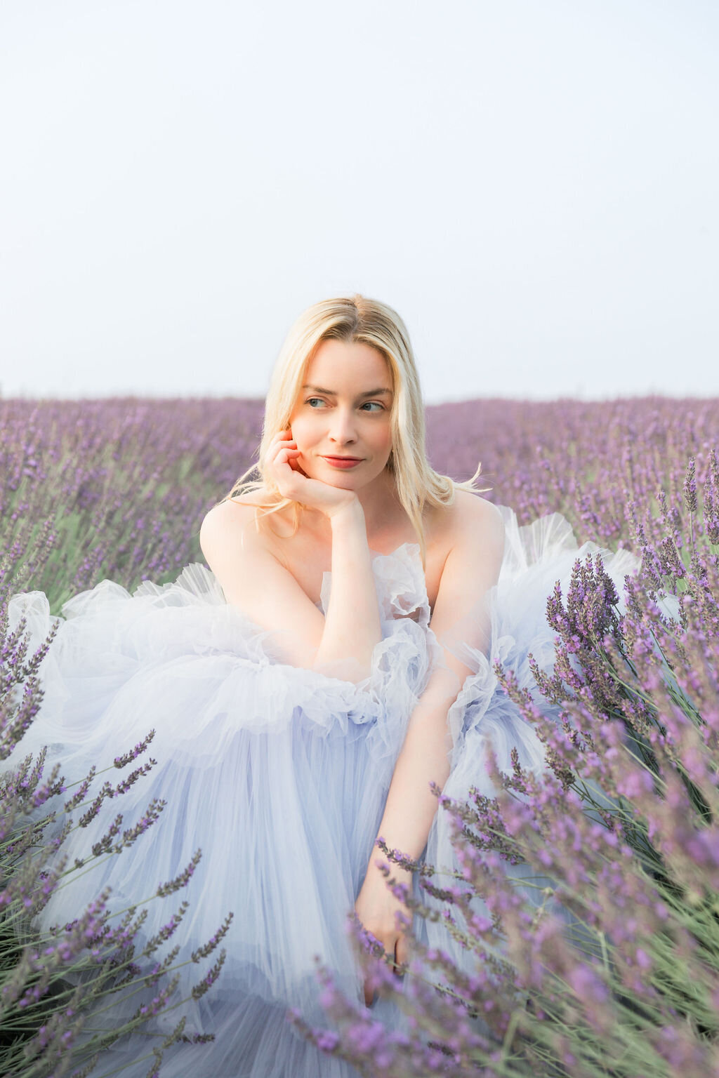 IRP-LavenderFields2024-9edit