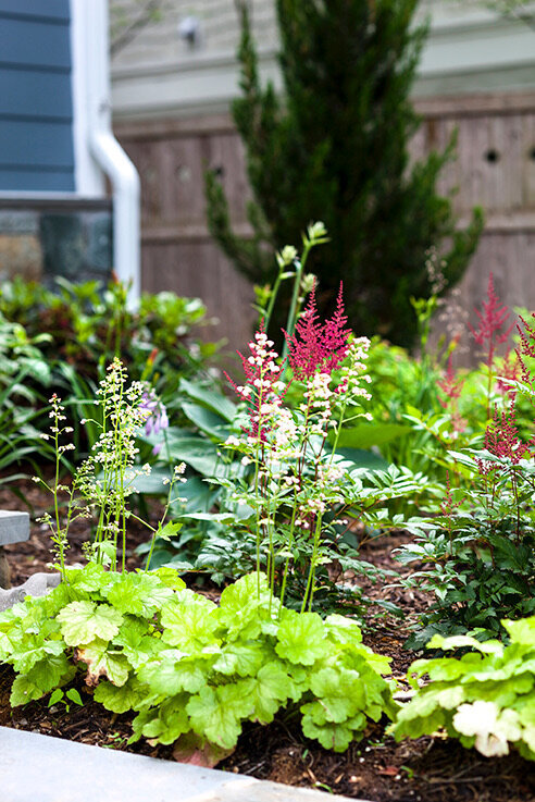 A close-up shot of pink and green plants arranged in a beautifully designed garden bed.