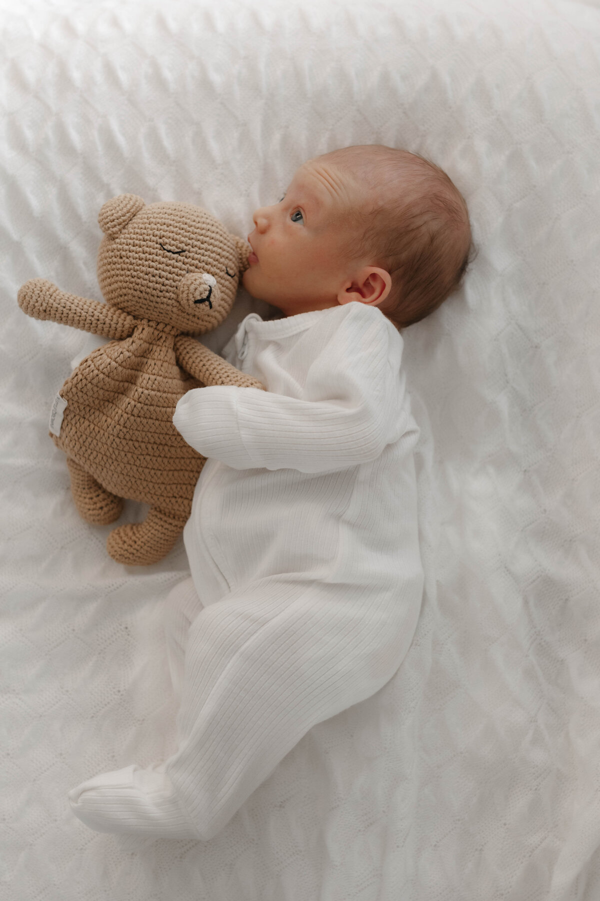 newborn photography cairns