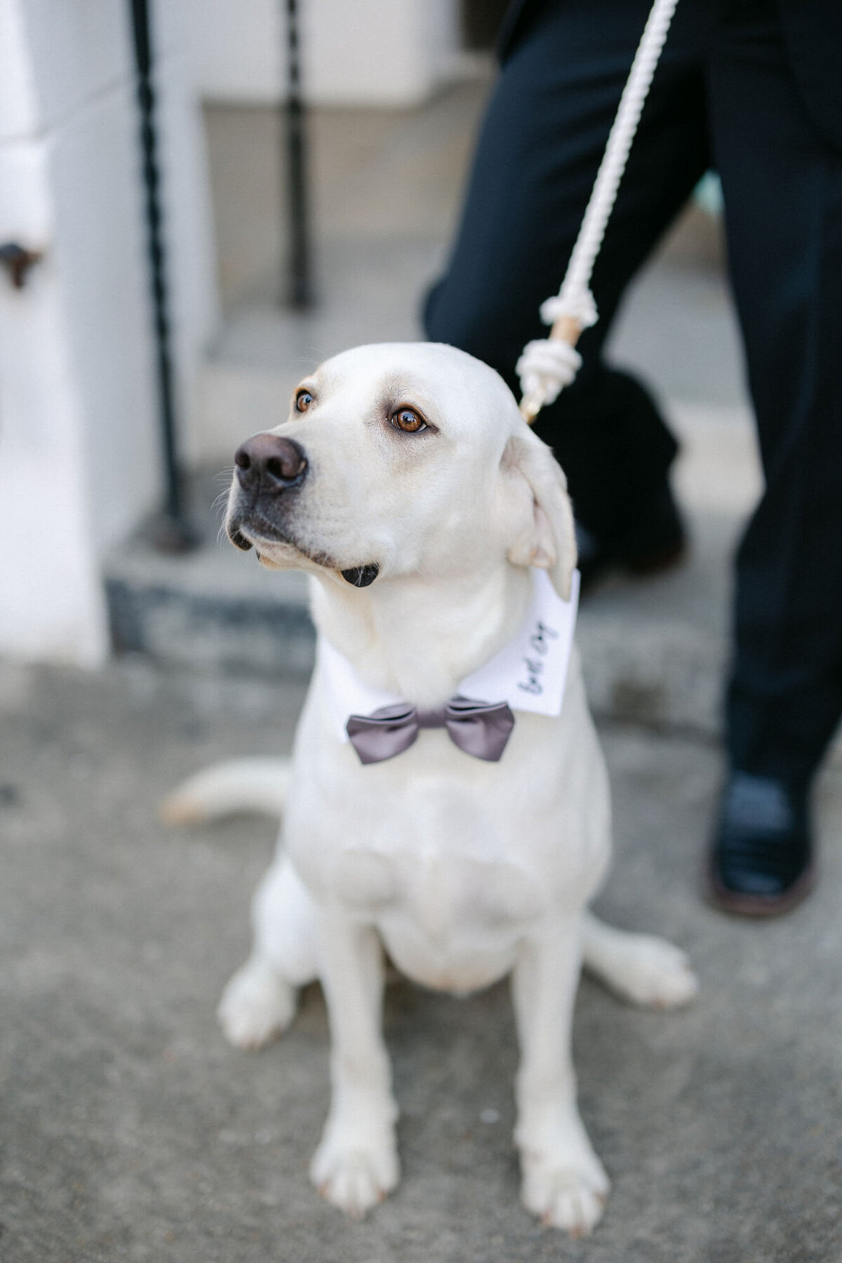 Gracie and Sean's wedding reception at il Mercato in New Orleans, LA