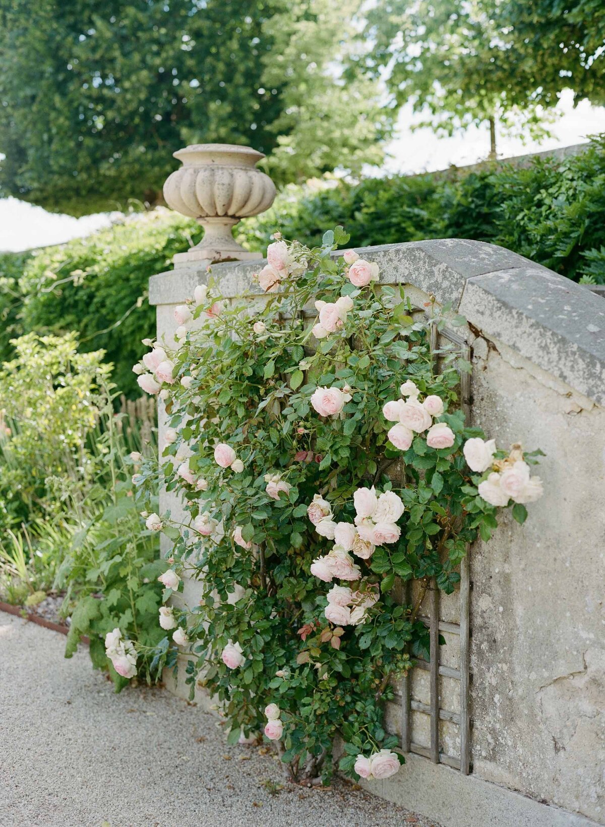 Chateau-Grand-Luce-Wedding-Photographer-Molly-Carr-145