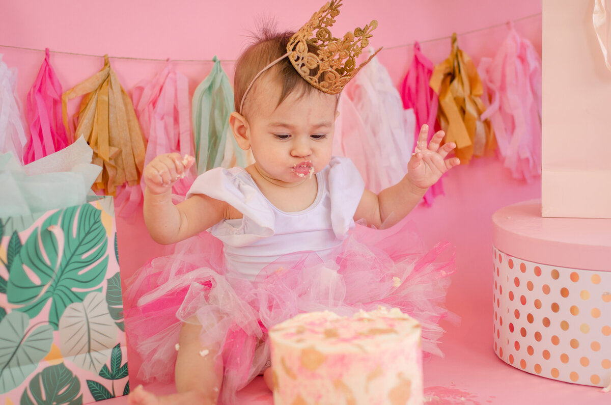 One Year Old Milestone Cake Smash Photography Shoot