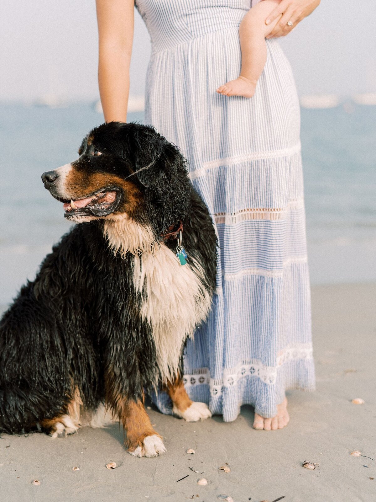 Mom holding toddler and dog beach family session