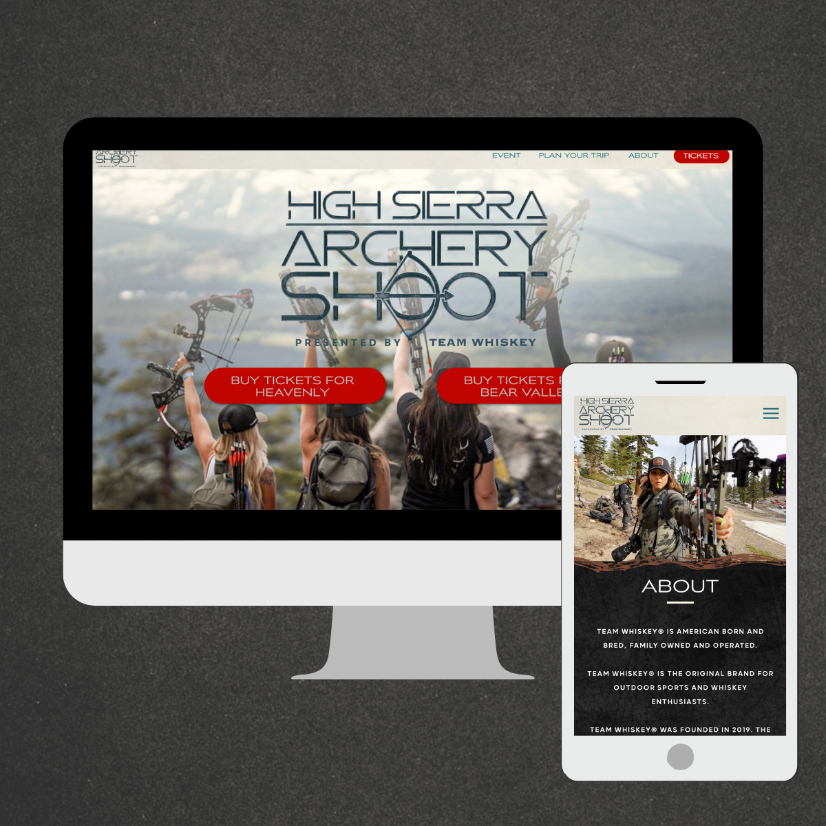 Website design project