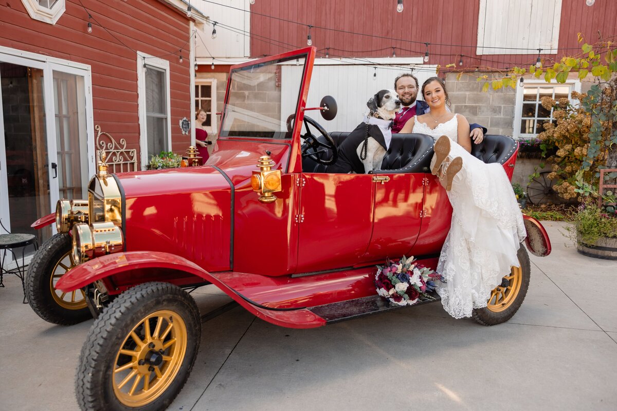 Grace  Jack Wedding Photography - DVX10334