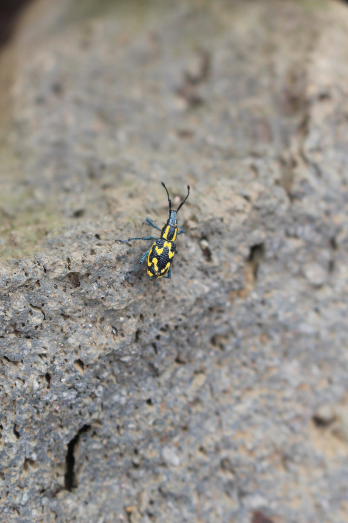 Wade_Muir_Photography_Places-60