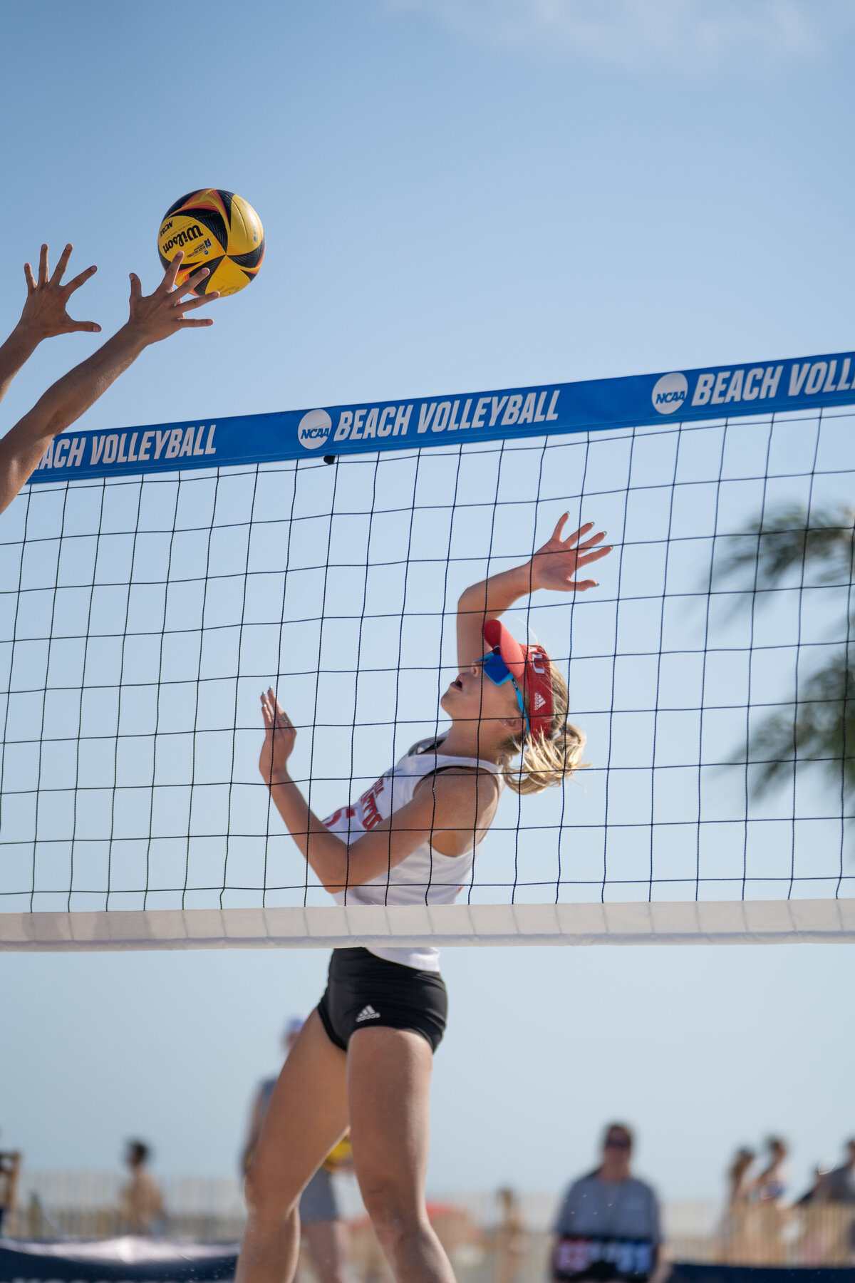 05_NCAA Beach Volleyball_Macy_GMS-07945