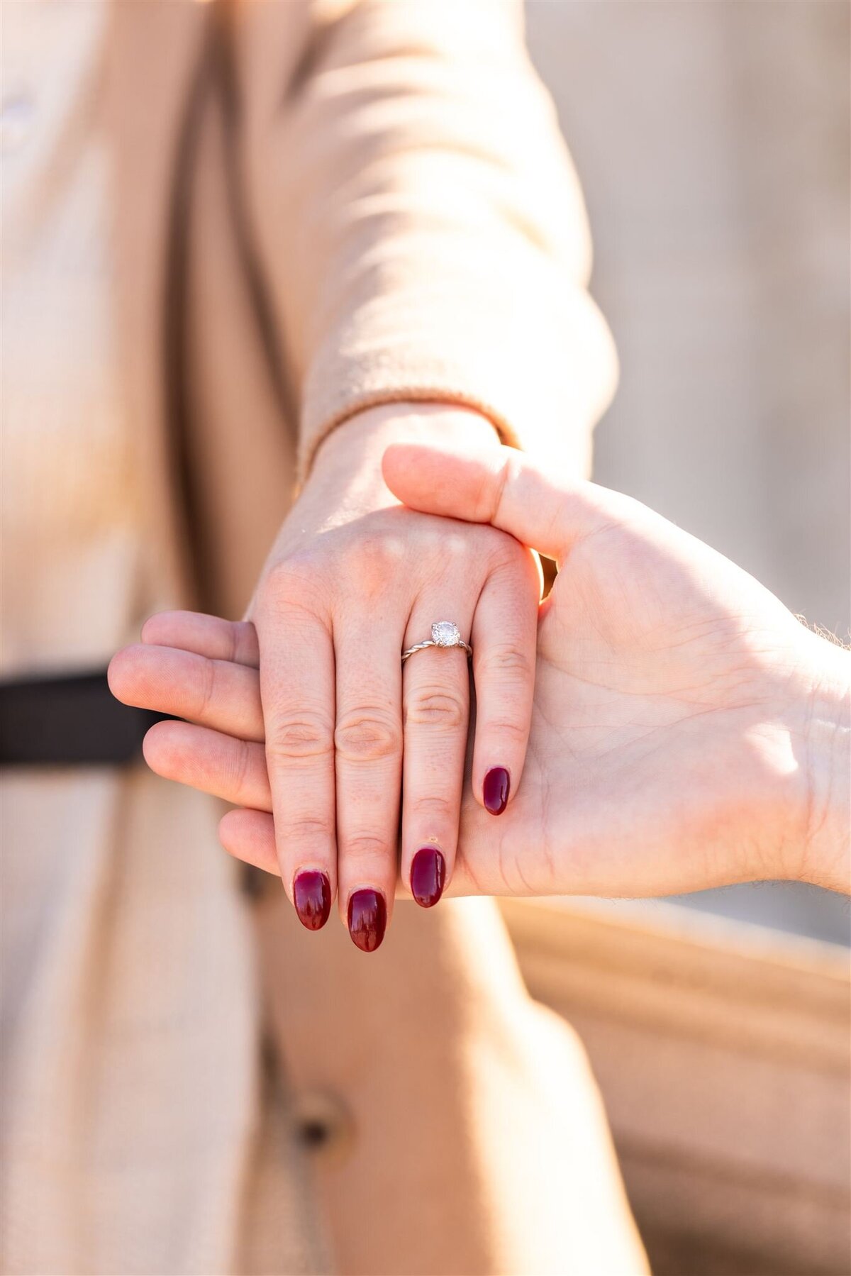 Jenna & Dan_Engagement Photos-2024-12-21186_websize