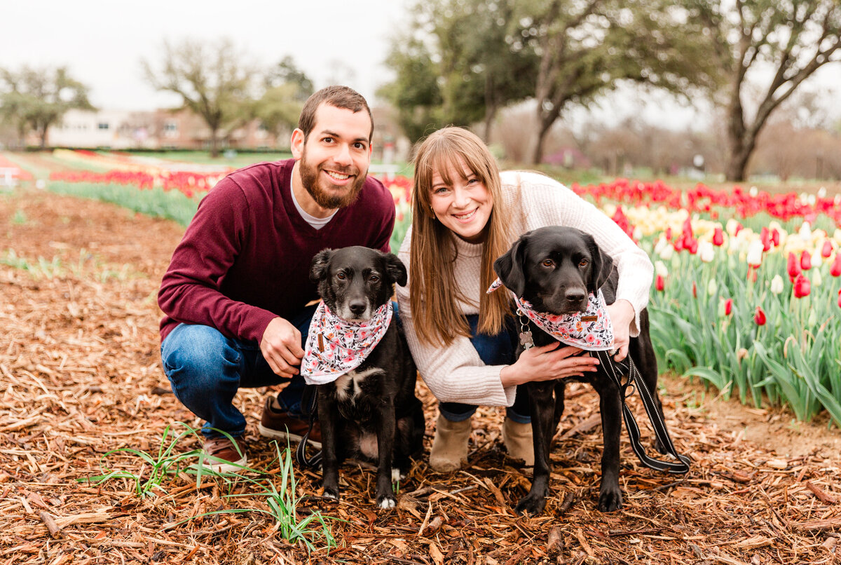 Tulipalooza24_EllisCountyMinis_LauraSahyouni_36