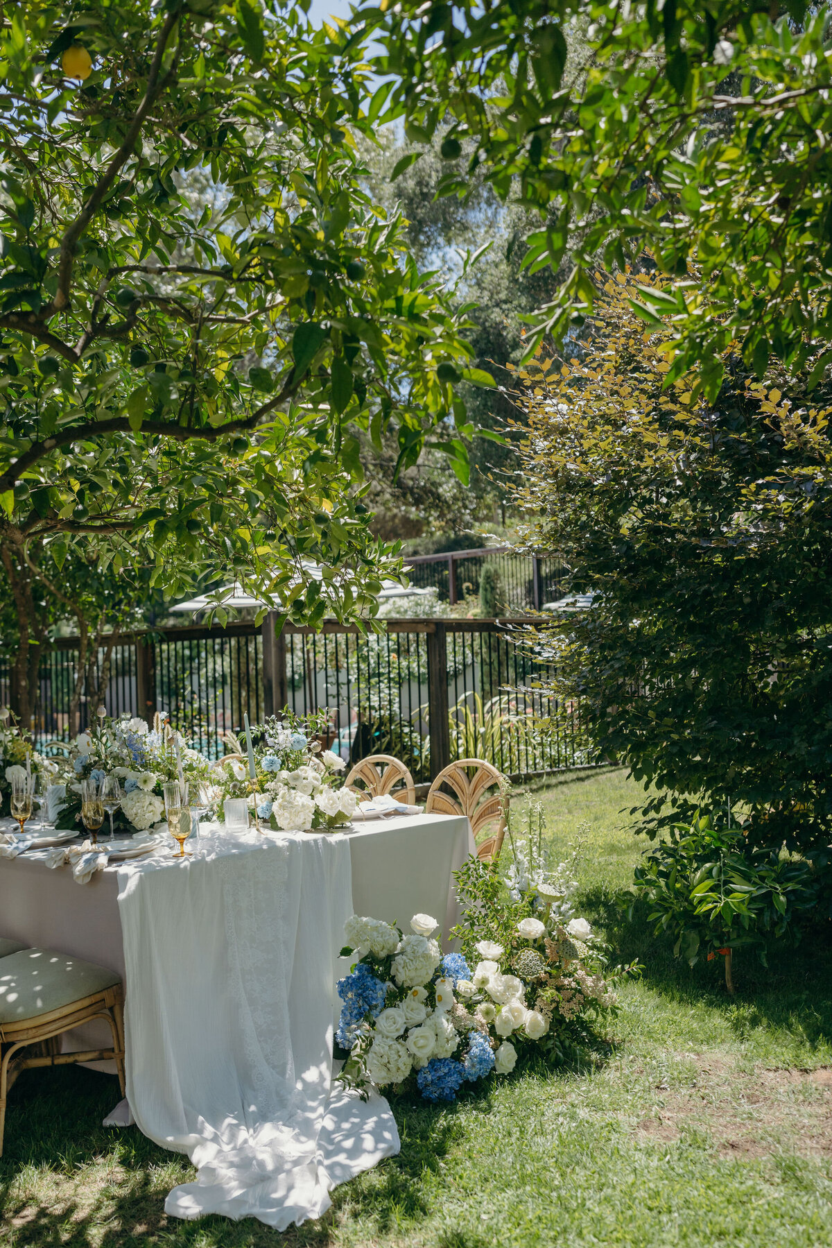 Sonoma-Wedding-16