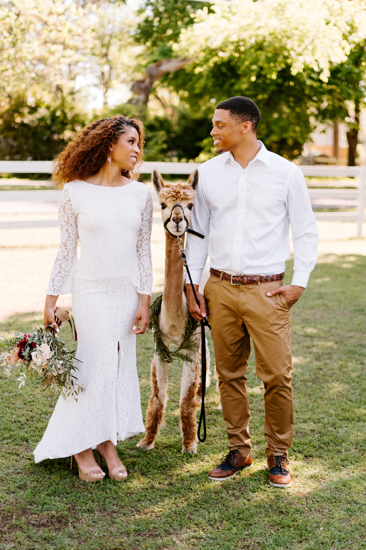 alpaca-bohemian-elopement-sydney-and-ryan