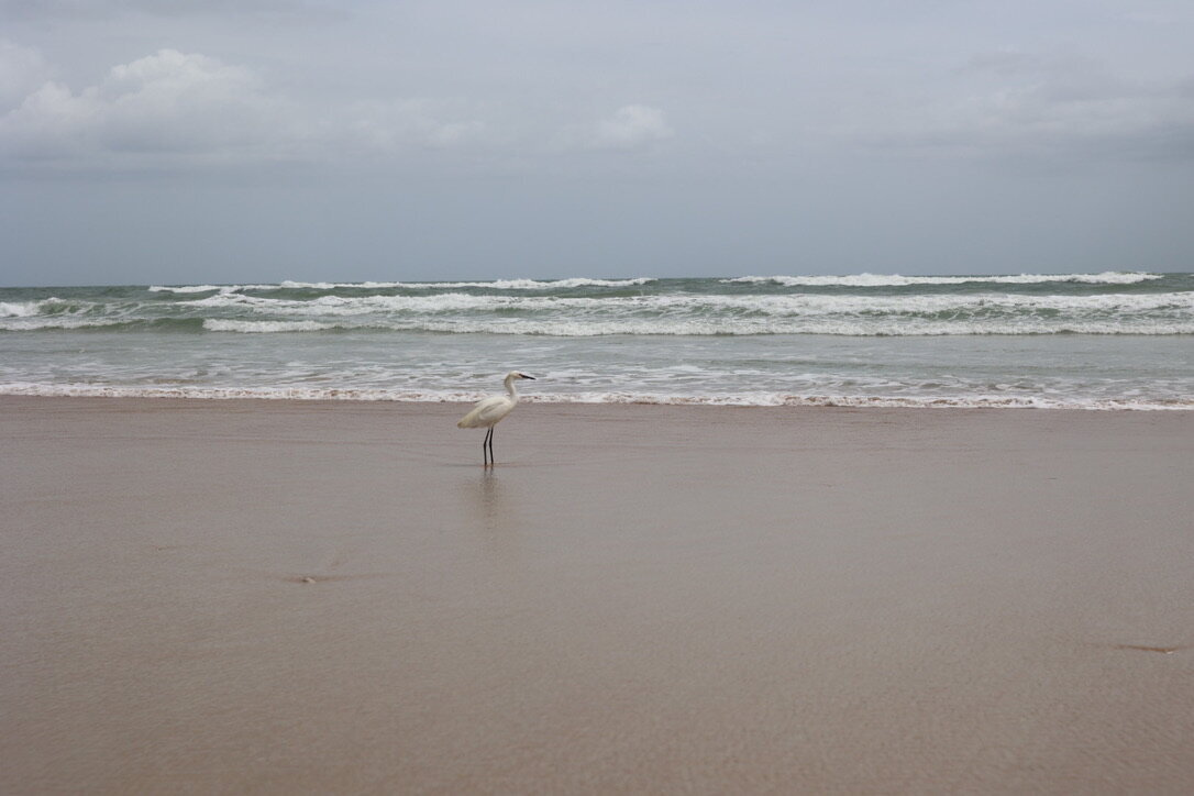 46E867D7-F7C5-4150-841A-E76548758586_1_105_c