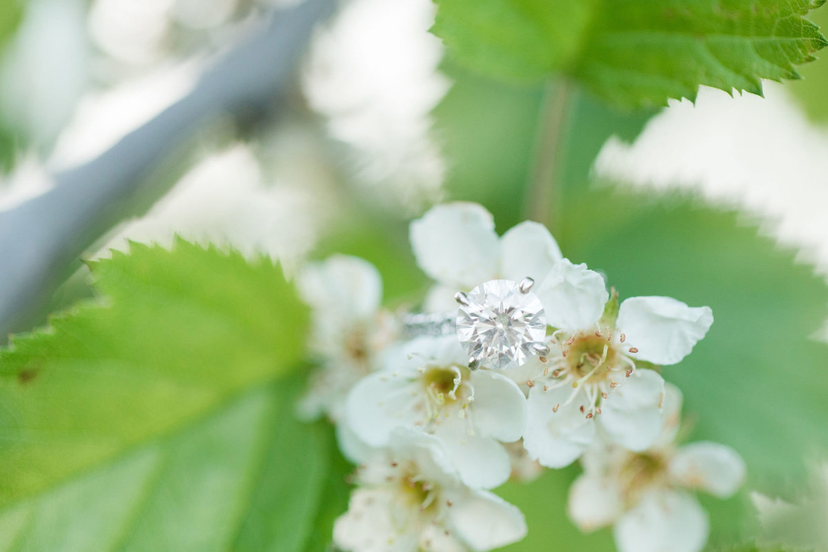 Lauren&ChadEngagement-2019-42633