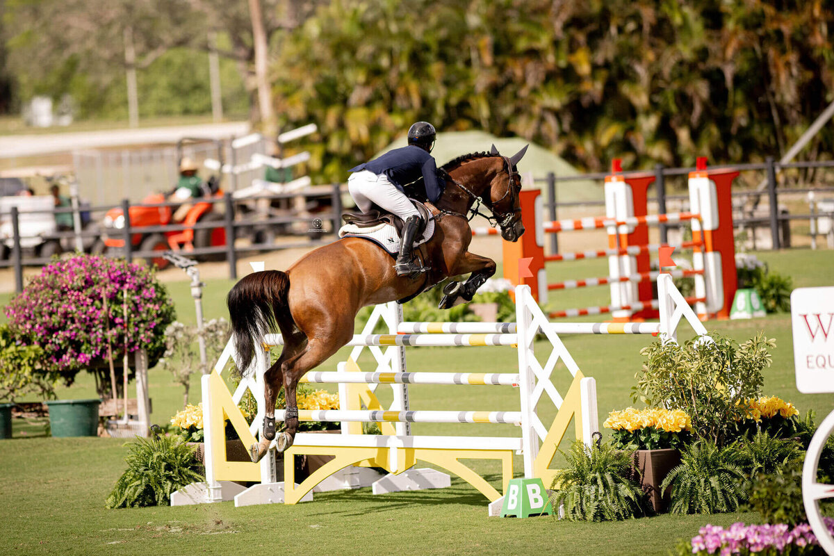 HATHERLY SHOWJUMPING HORSES AND TEAM - WELLINGTON, FL (1)