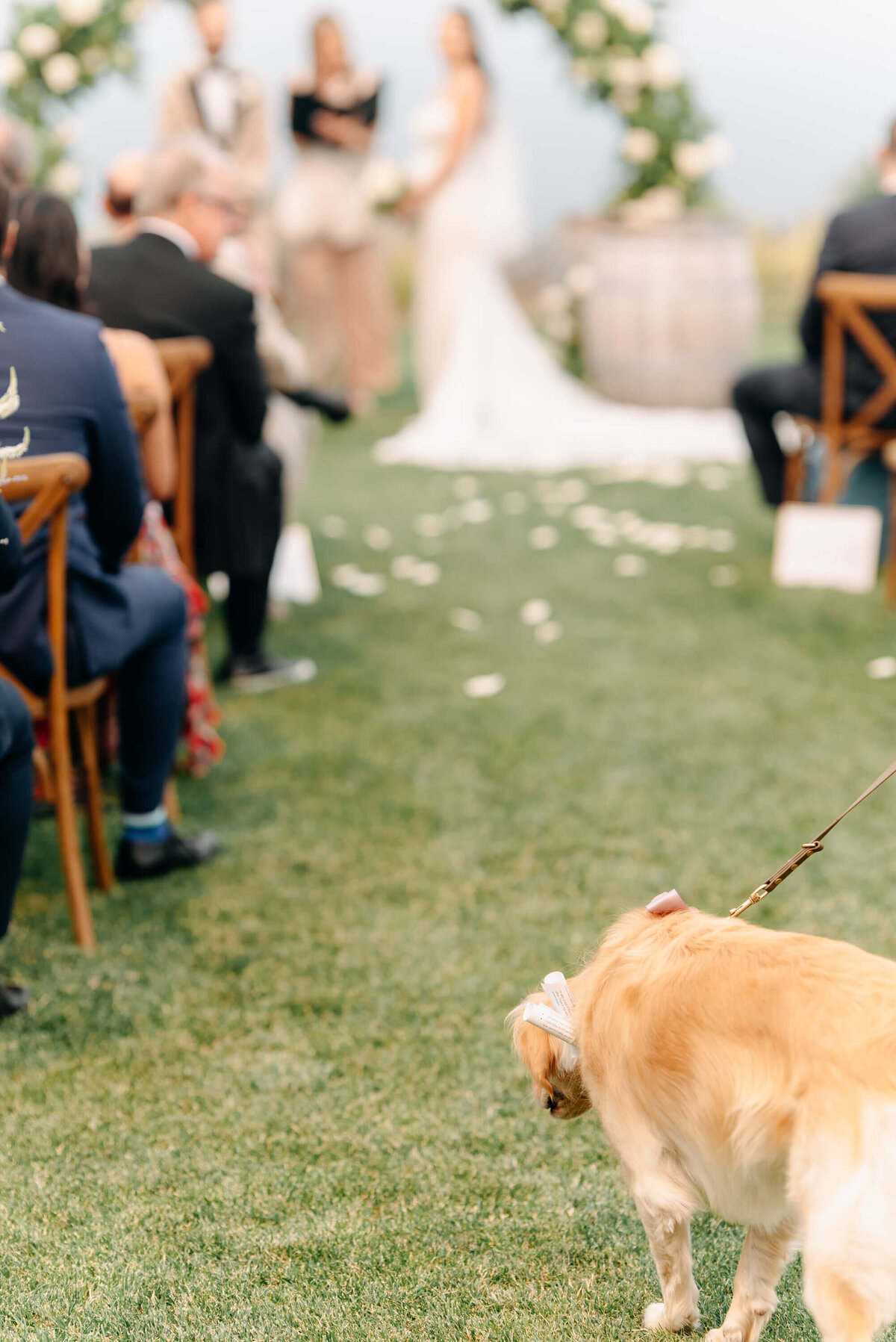 Kelowna-wedding-photographer (84)