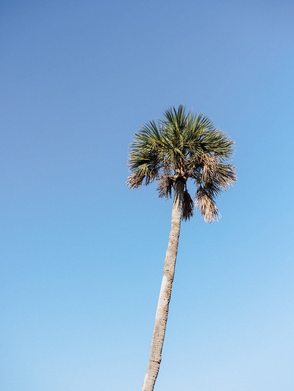 KaraHunterPhotography-MaryGlennJosh-376