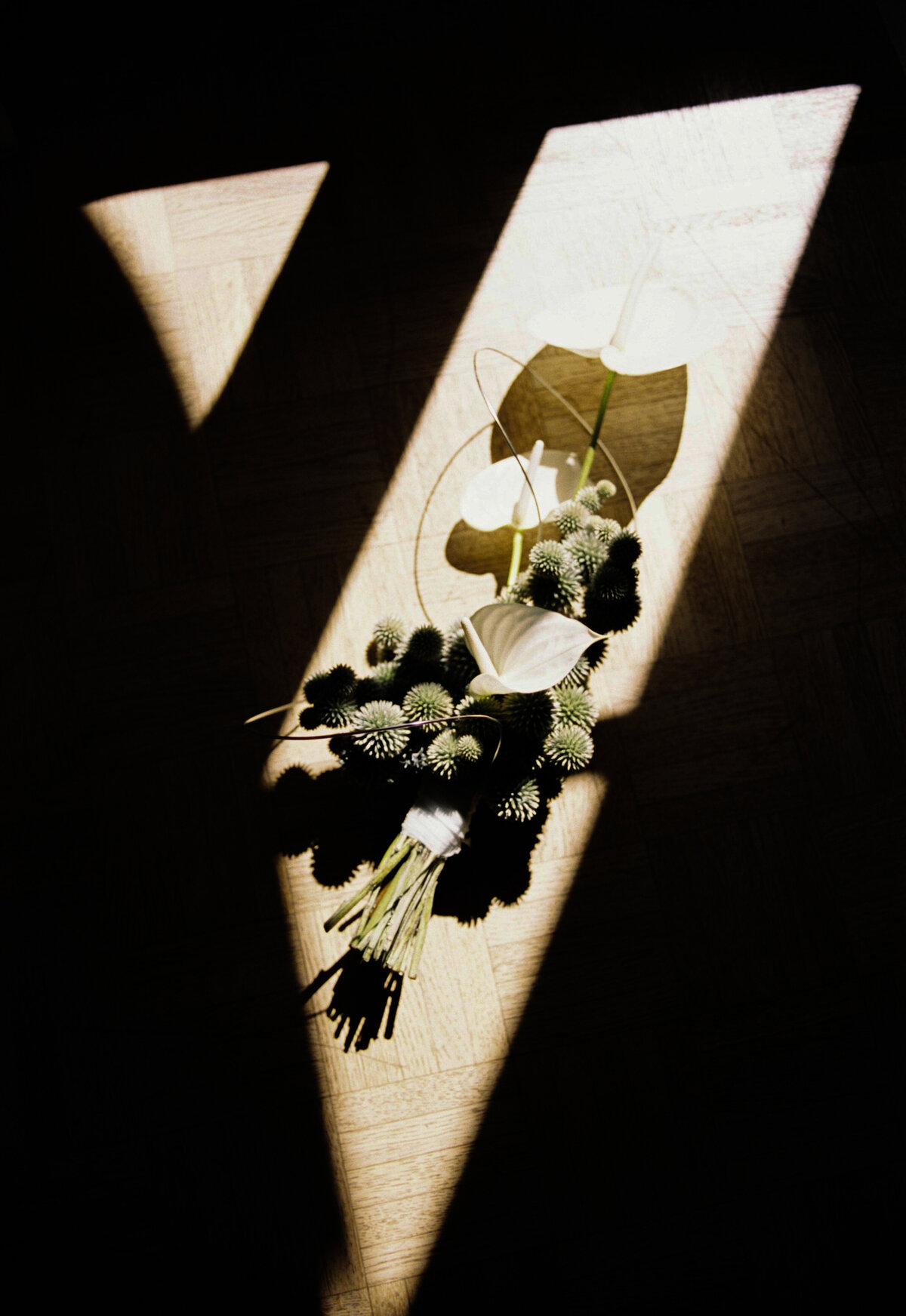 Brina&TroyFilm-165