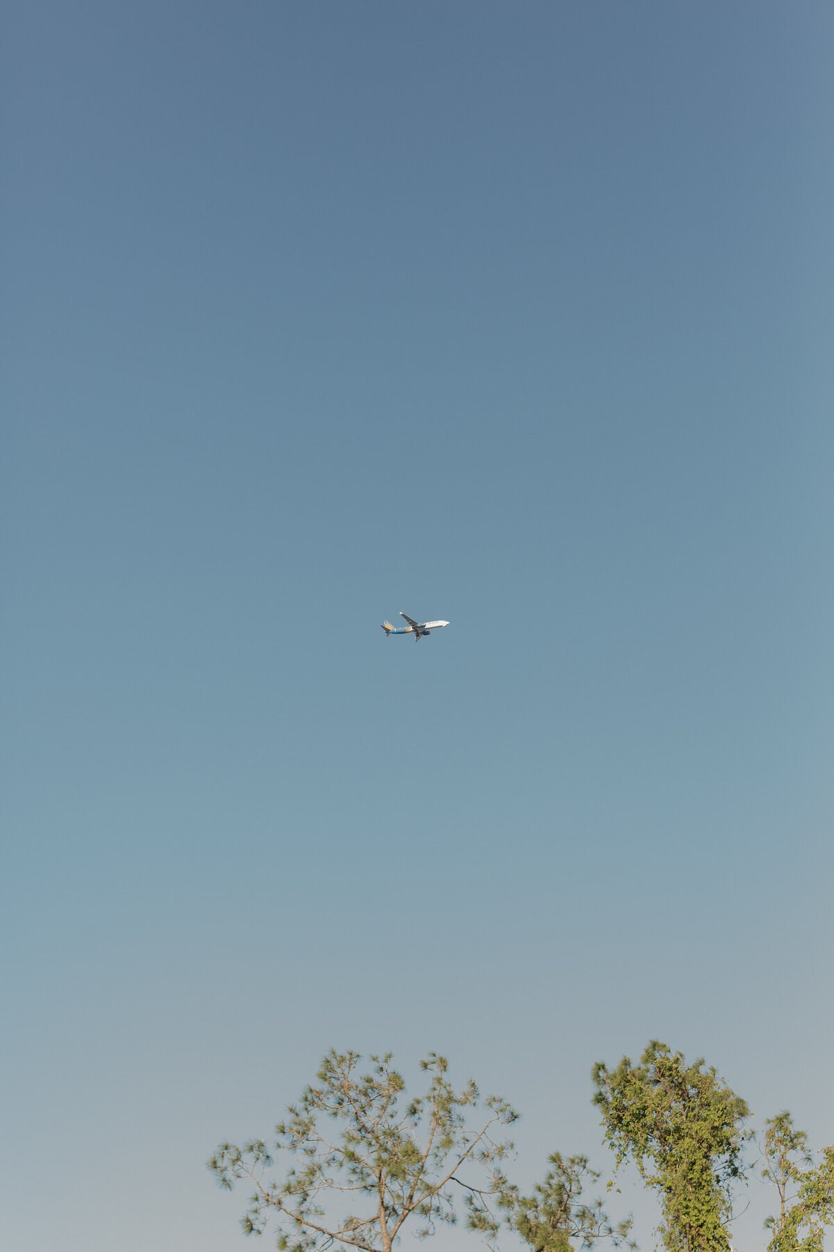 810A3881