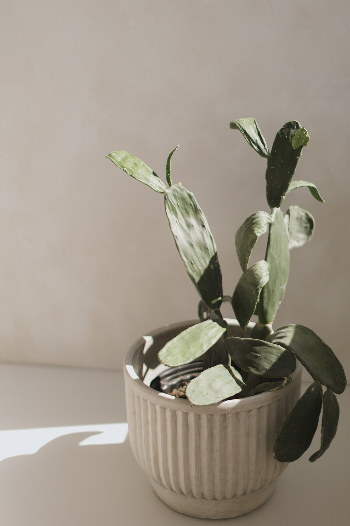 Ora D'oro Interiors Brand Shoot Inspiration-28