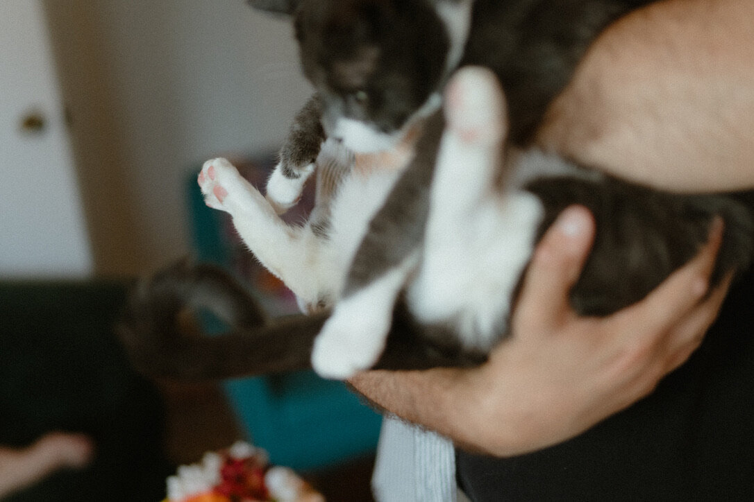 2BCC0B5C-03D0-42DB-B25B-15FA1D7679B1_1_105_c