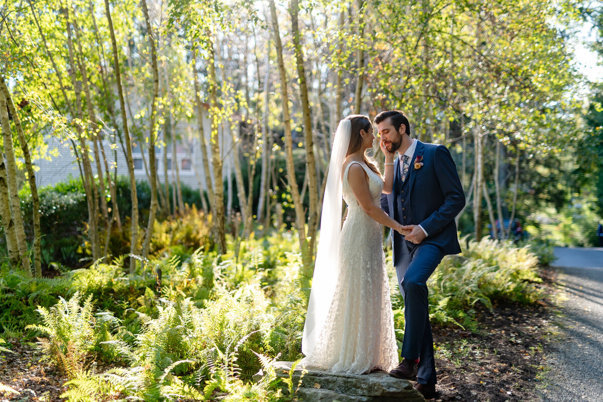 CHATFIELD-HOLLOW-WEDDING-CT-CARLA-TEN-EYCK--53