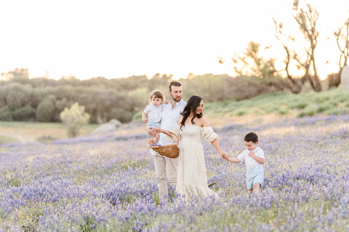 A family of four walks in a field of lupines while mom holds her sons hand and a basket collecting flowers photographed by bay area photographer, Light Livin Photography.