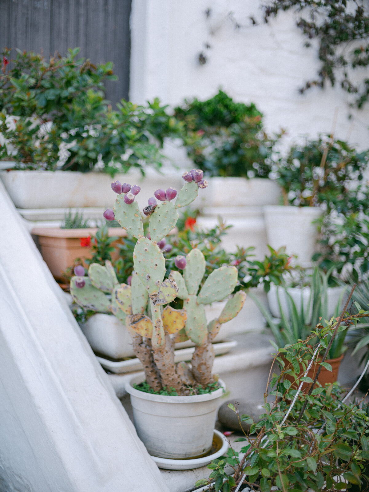 Ostuni Puglia Engagement Session28
