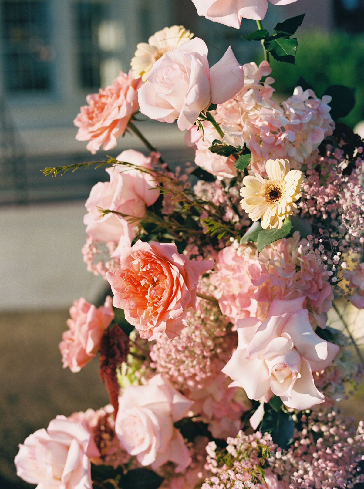 grand_galvez_film-26