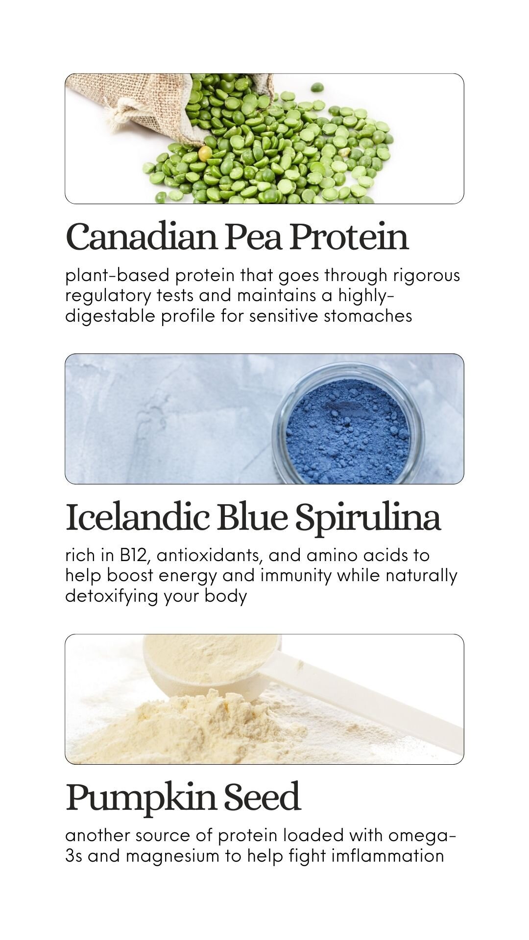 Hugh & Grace Blue Protein Spotlight
