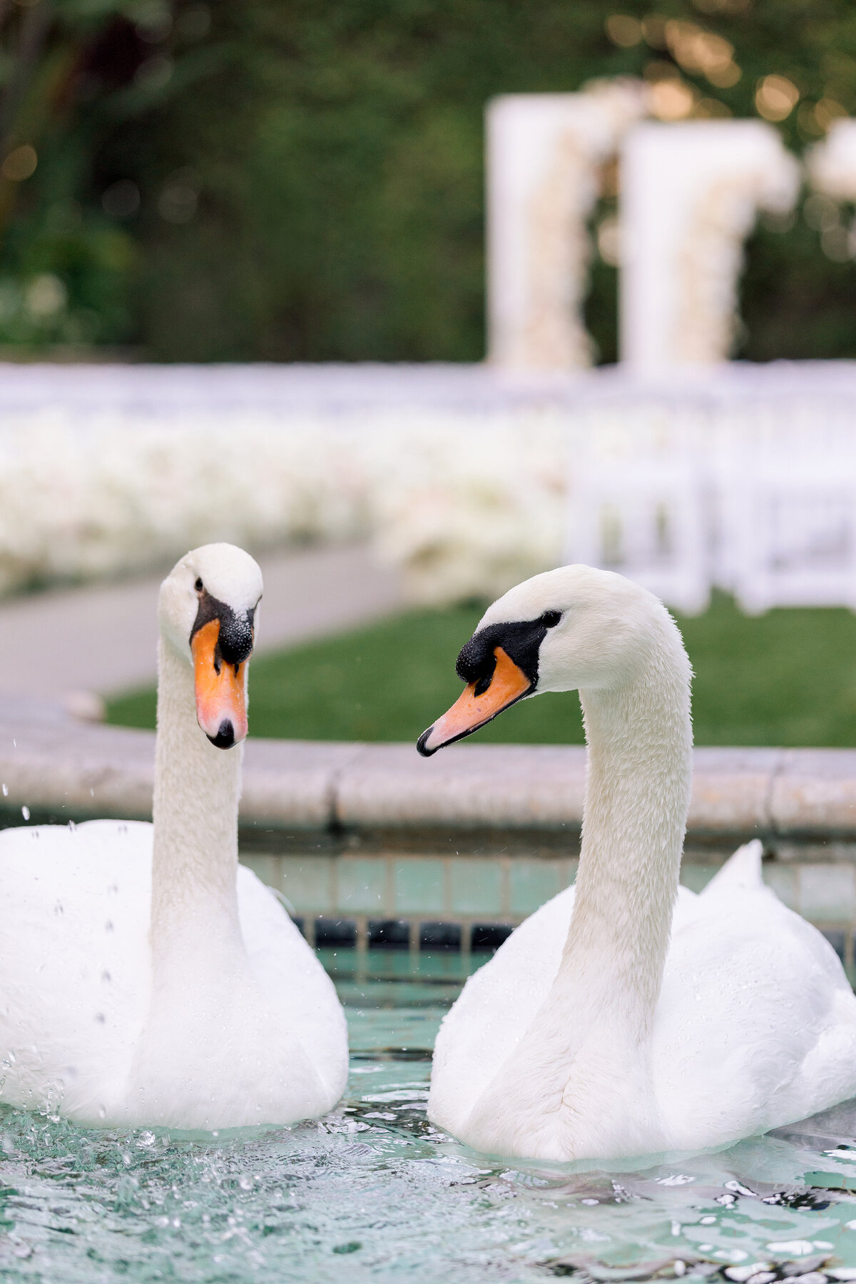 RB_WeddingPreviews_015