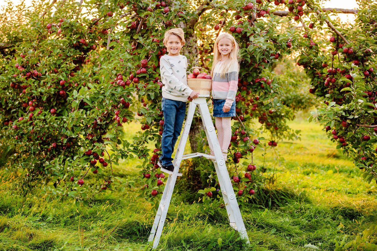 brother and sister standing on a white ladder in an apple orchard for their fall family photos in Burlington, ON