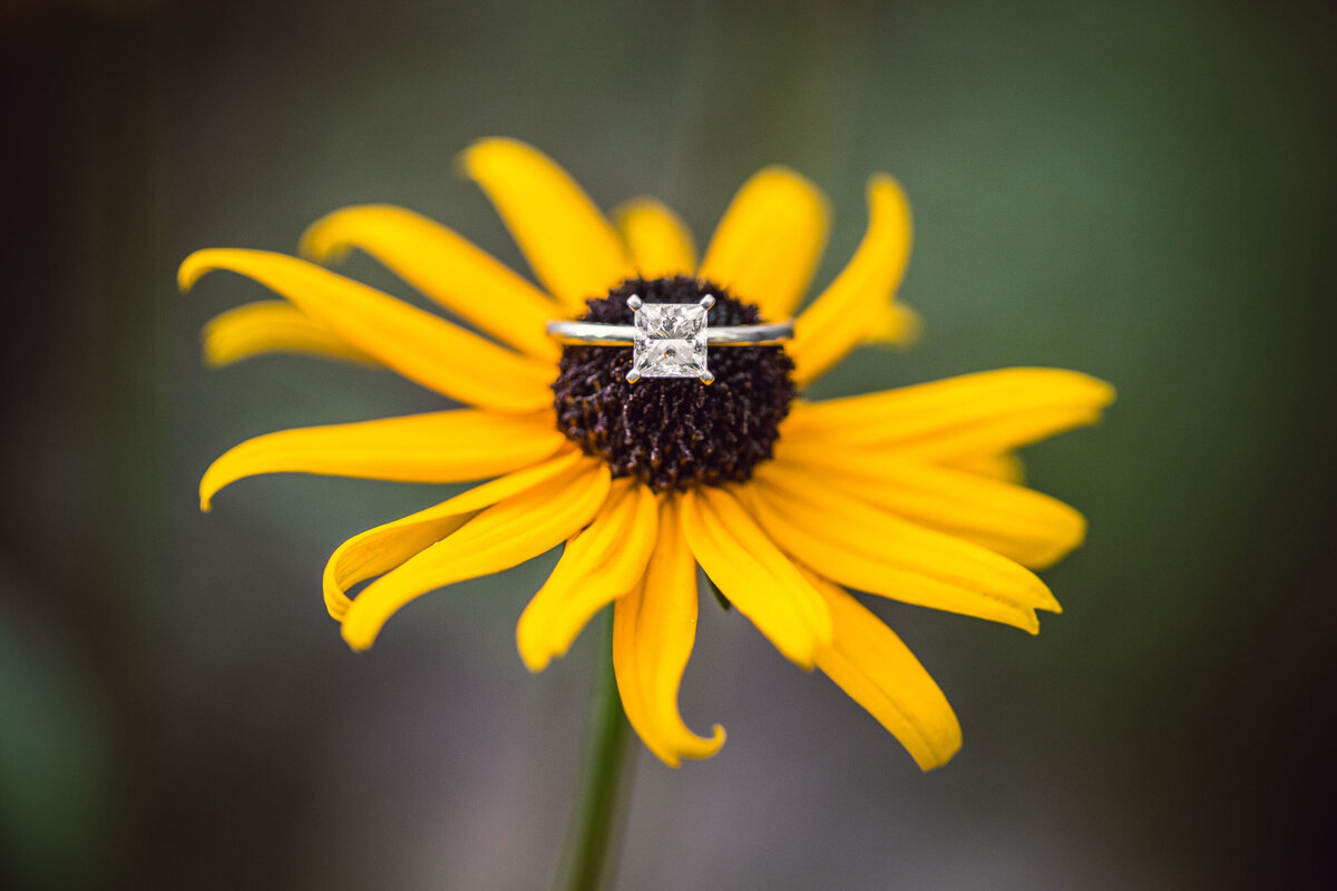 Rings Virginia EE