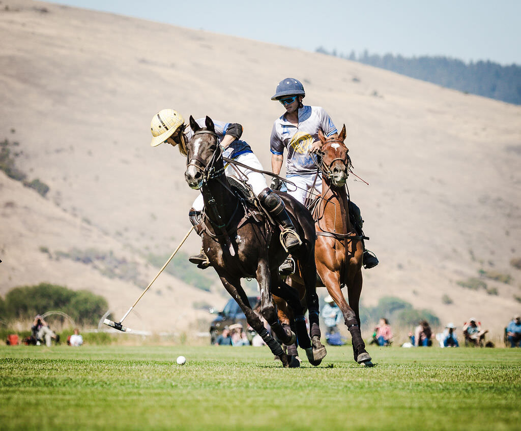 20210828_kya-photography-equestrian-photographer_0007