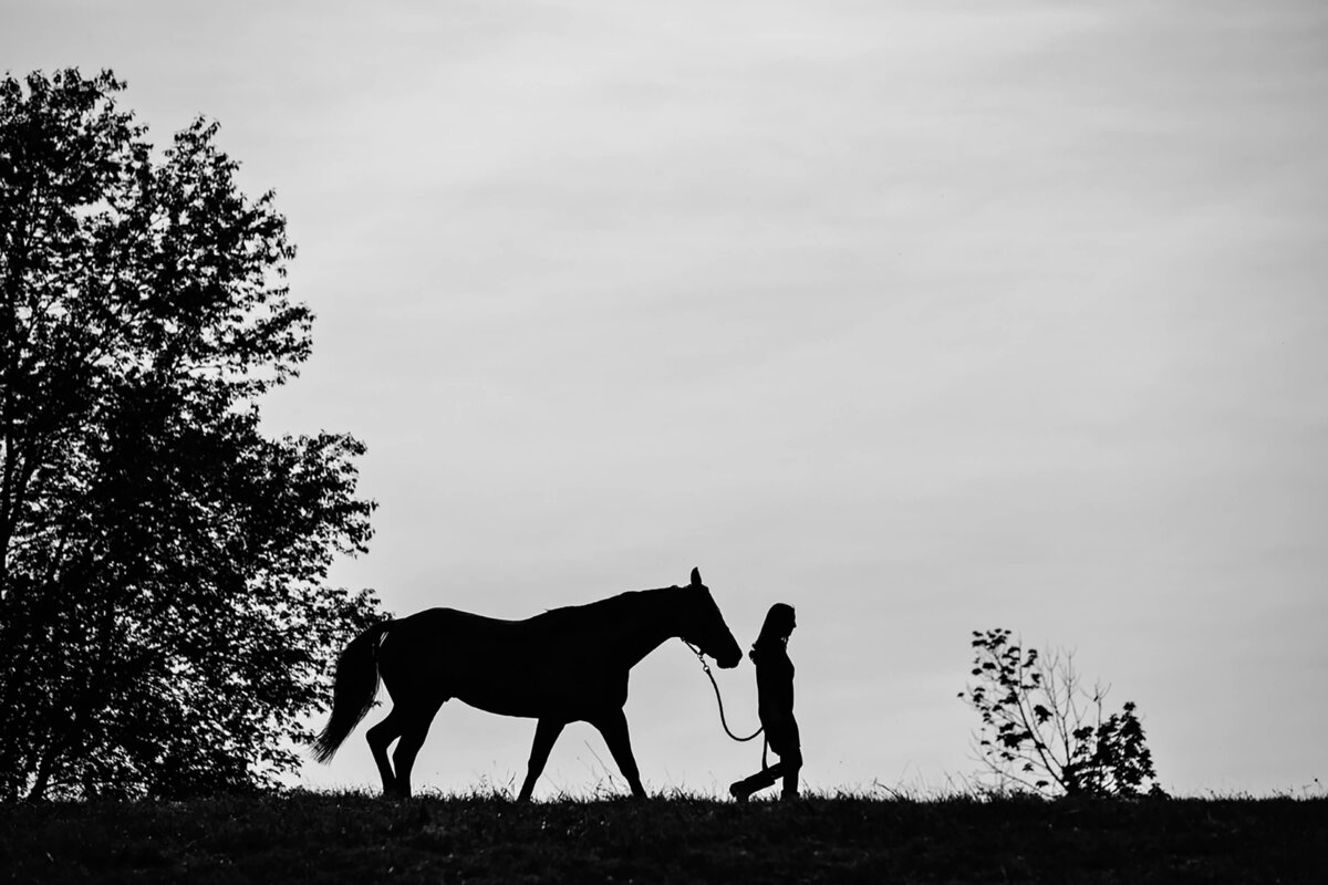 equestrian-horse-portraiture-photography-saratoga-ny-21