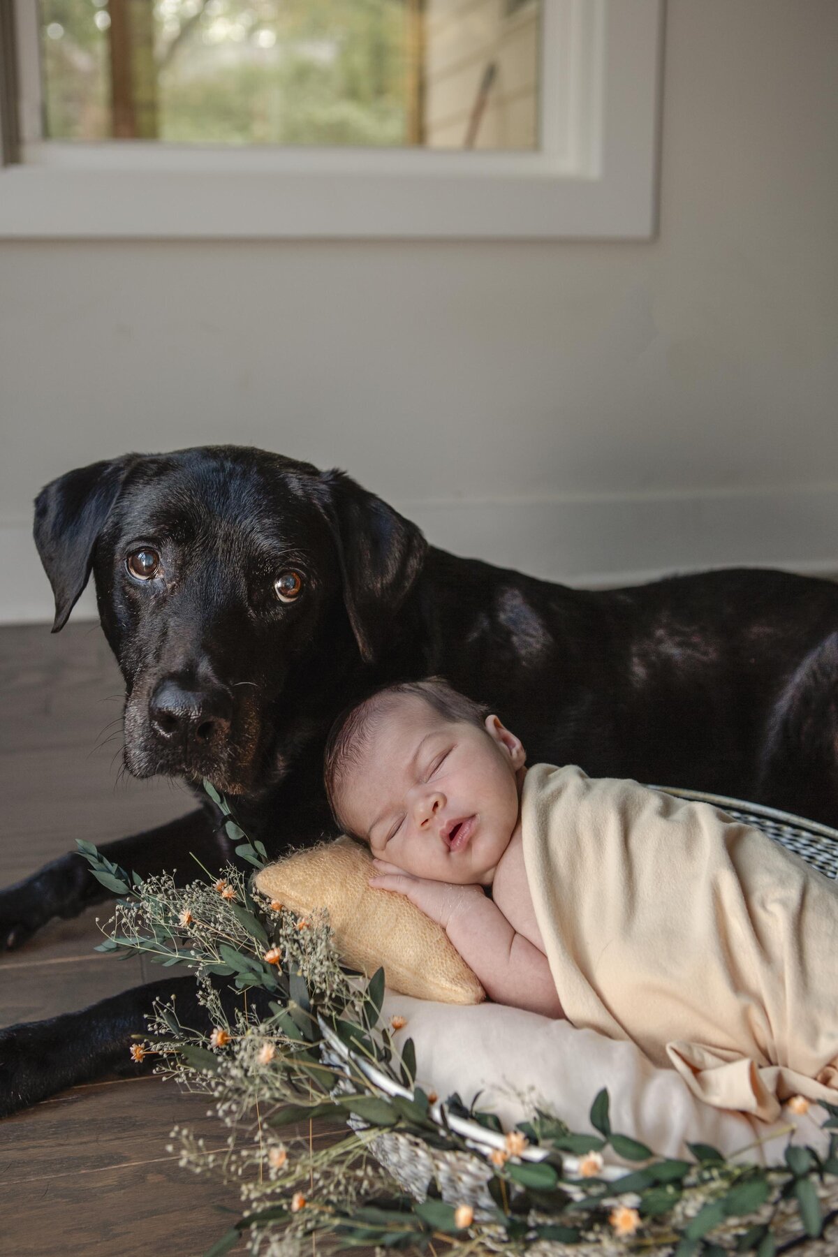 Marietta Newborn Photographer