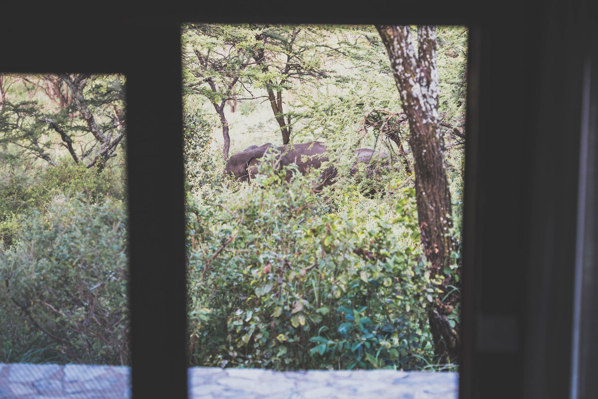 Luxury Safari Lodge (9)