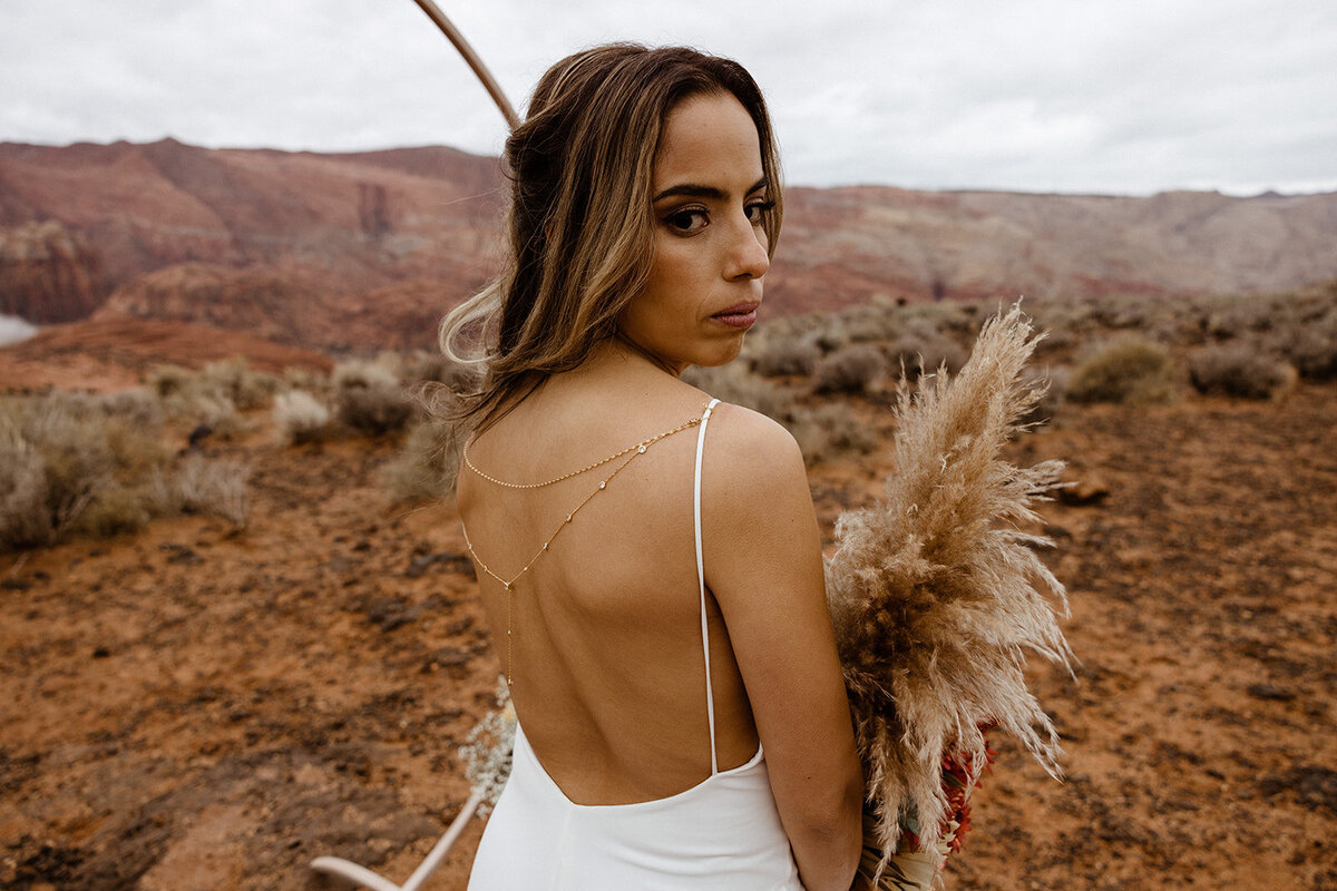 ZionSnowCanyon-dallinhassard-2977